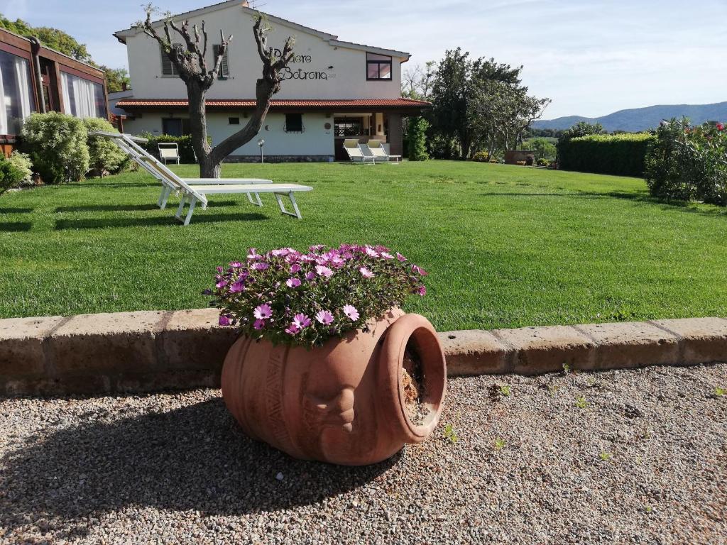 una olla grande con flores al lado de una casa en Agriturismo Diaccia Botrona, en Castiglione della Pescaia