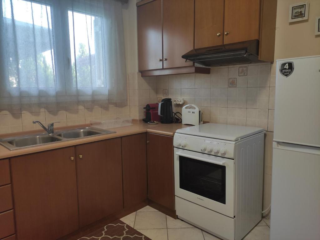 Kuchyň nebo kuchyňský kout v ubytování Bouka Apartment