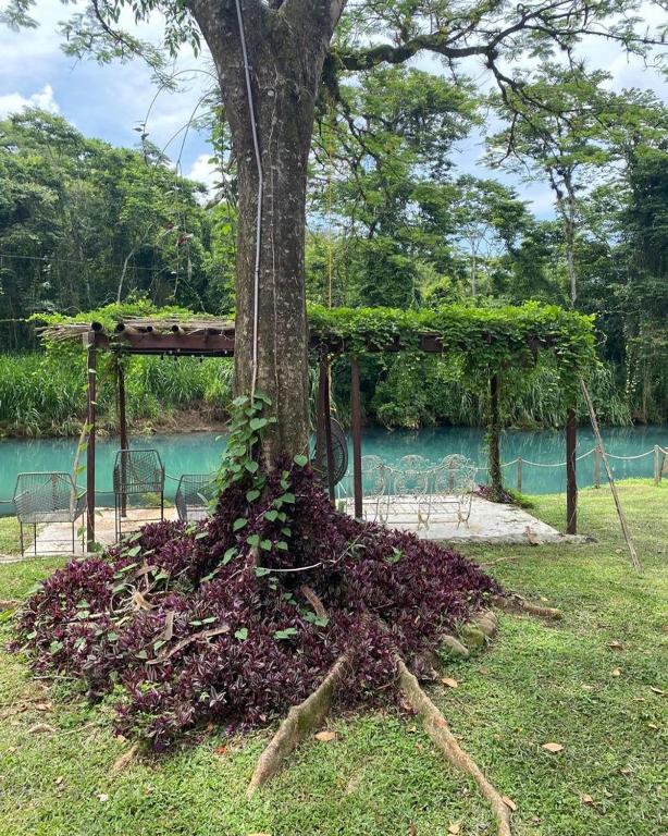 Zahrada ubytování Rancho tres Marías