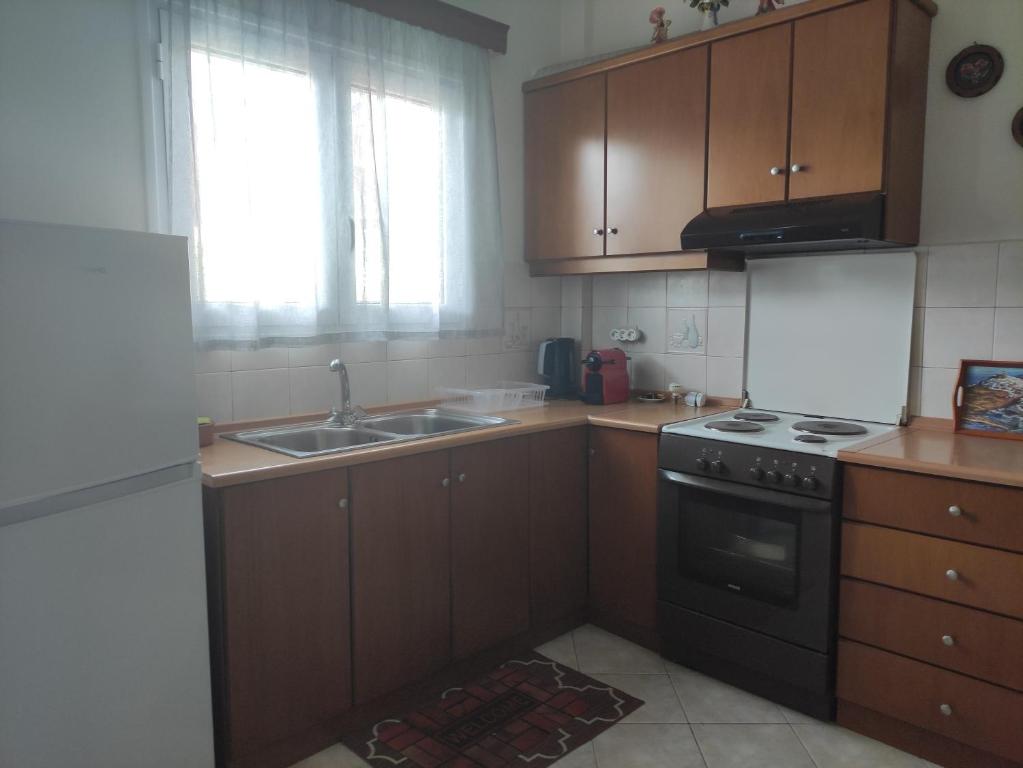 Kuchyň nebo kuchyňský kout v ubytování Bouka Apartment