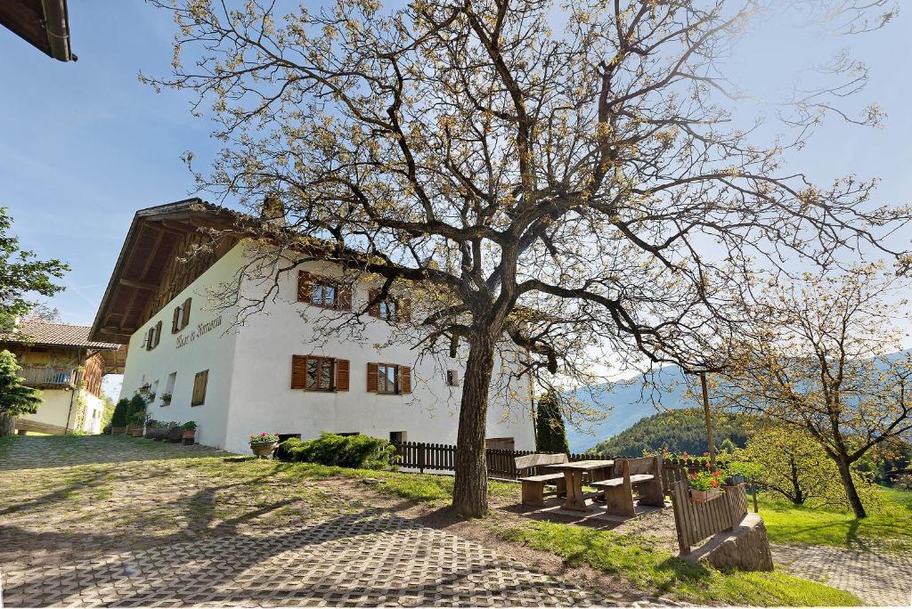 a tree in front of a white building with a picnic table at Moar im Rumsein - Apt Saltenblick in Terlano