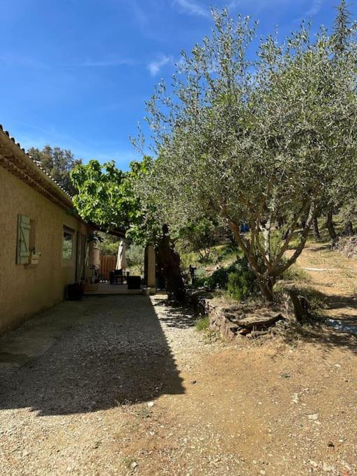 a house with a tree next to a building at Maison Amandre en Pleine Nature - Mas Lou Castanea in Collobrières