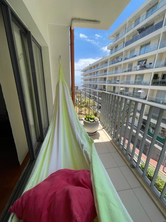 Suite Palms