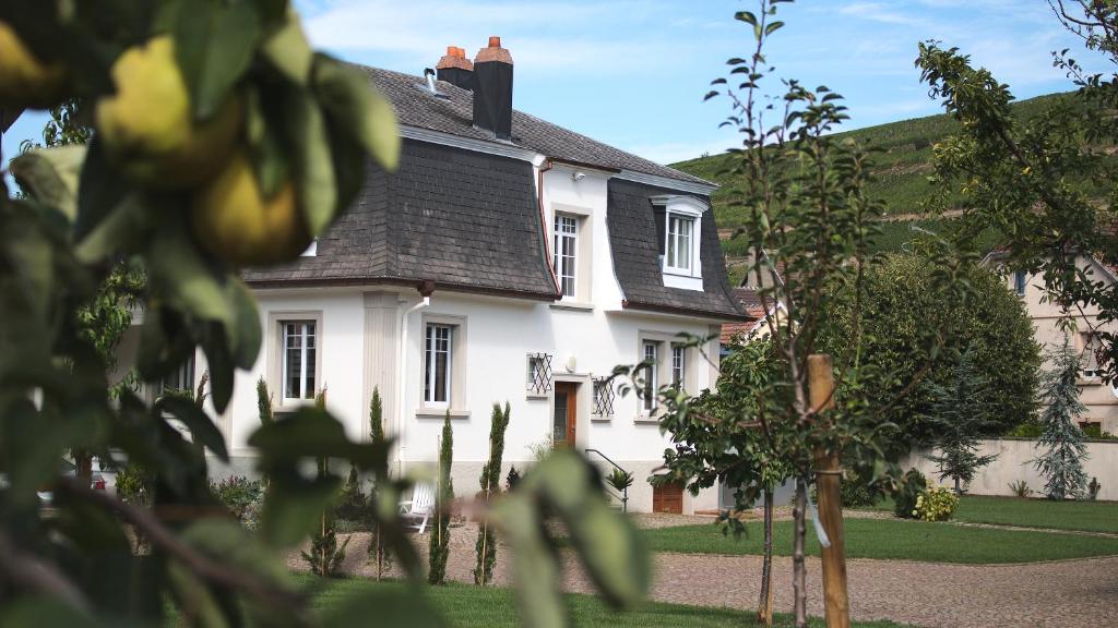 a white house with a black roof at les charmes de la vallée noble in Soultzmatt