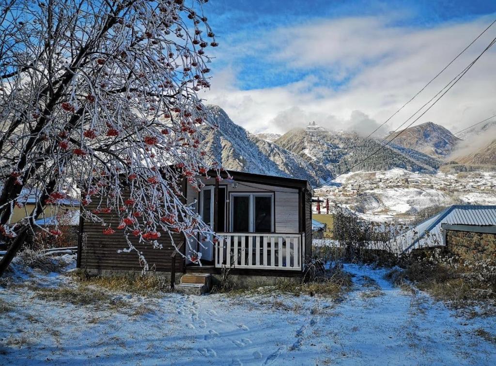 Mountain Hut في كازباجي: كابينة صغيرة في الثلج بجانب شجرة