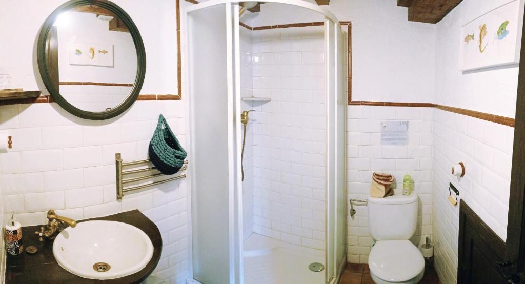 a bathroom with a toilet and a shower at La Nozal - La Vallicuerra Casas Rurales in Mieres