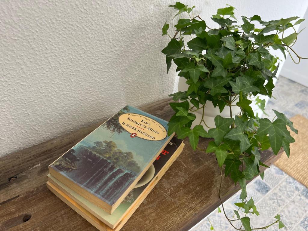 a book and a potted plant on a table at Pine House - Faro Airport, Beach and City Center in Faro