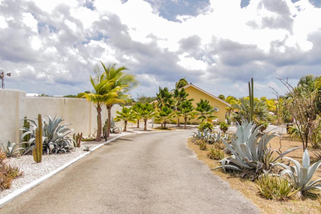 Fotografie z fotogalerie ubytování ABC Resort Curacao v destinaci Willemstad
