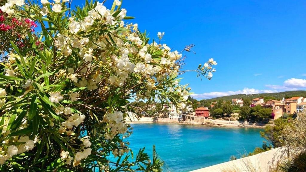 - une vue sur une rivière avec des fleurs blanches dans l'établissement Superbe appartement en bord de mer, à Bandol