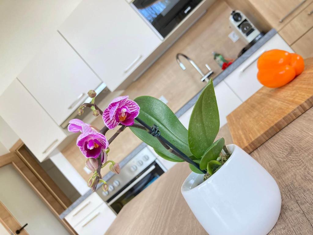 Kuchyňa alebo kuchynka v ubytovaní Appartements Blumenwiese