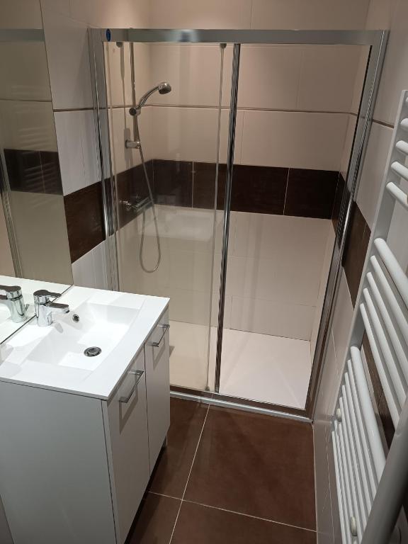 uma casa de banho com um chuveiro e um lavatório. em Appart Foch T1 em Langogne
