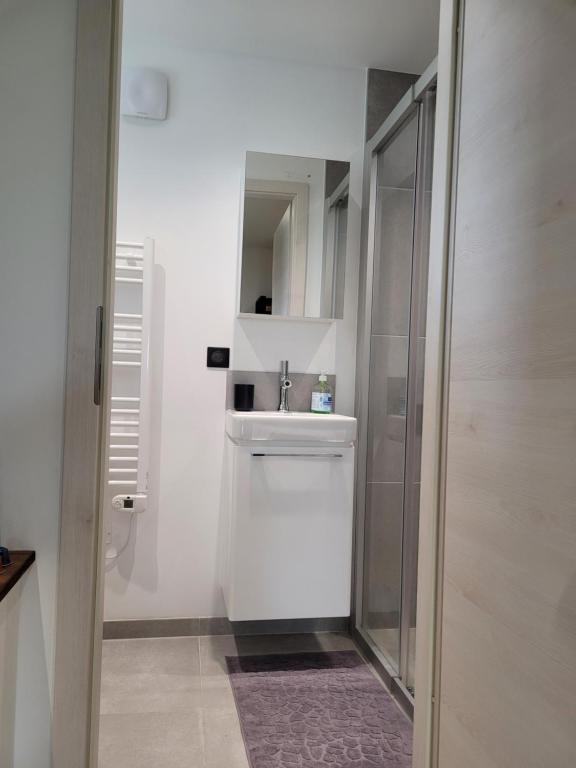 Koupelna v ubytování chambre gite au pied du Vieil Armand