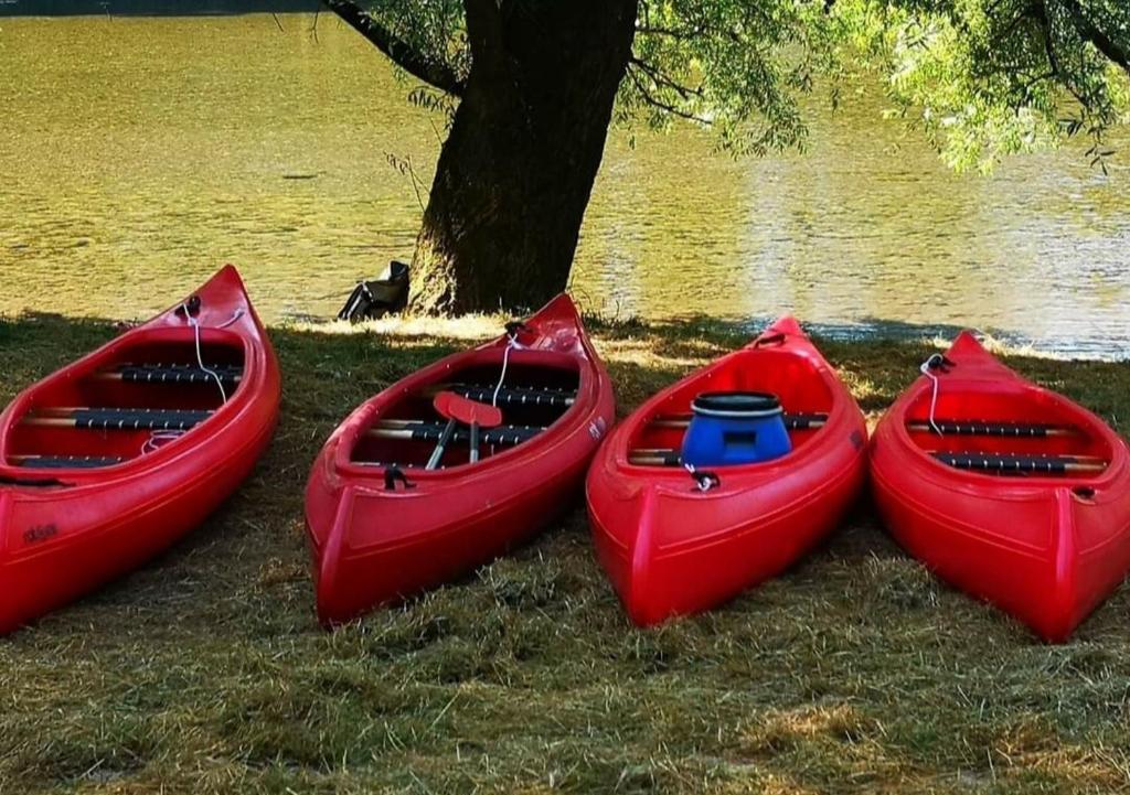 trzy czerwone łodzie siedzące w trawie obok drzewa w obiekcie SUN RIVER KOLPA Ap Big w mieście Vinica