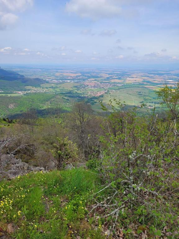 Příroda nedaleko penzionu