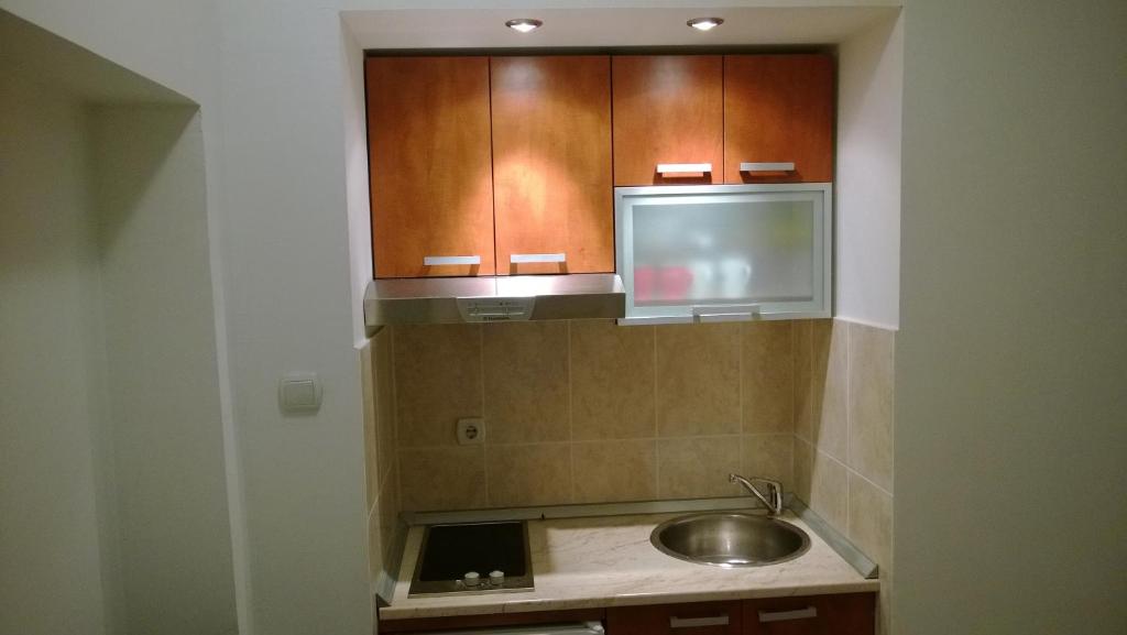 una cocina con fregadero y armarios de madera en City Apartments Ana, en Belgrado
