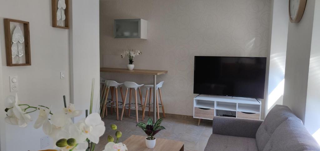 a living room with a couch and a television at Le Cygne, appartement de standing en hyper-centre in Sarreguemines