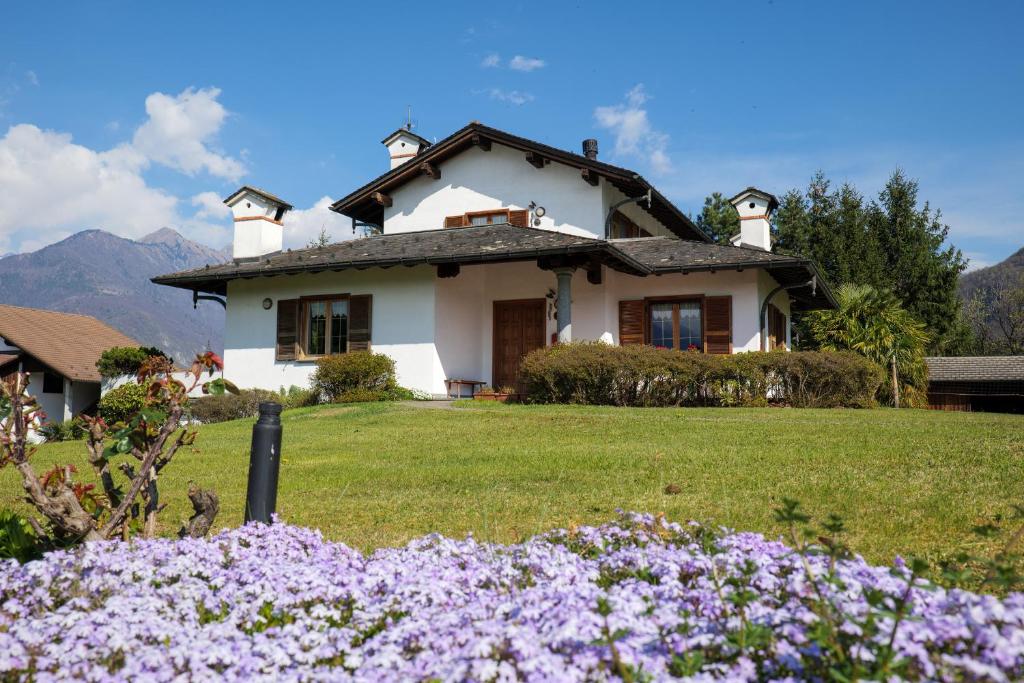 Widok na góry z tego apartamentu