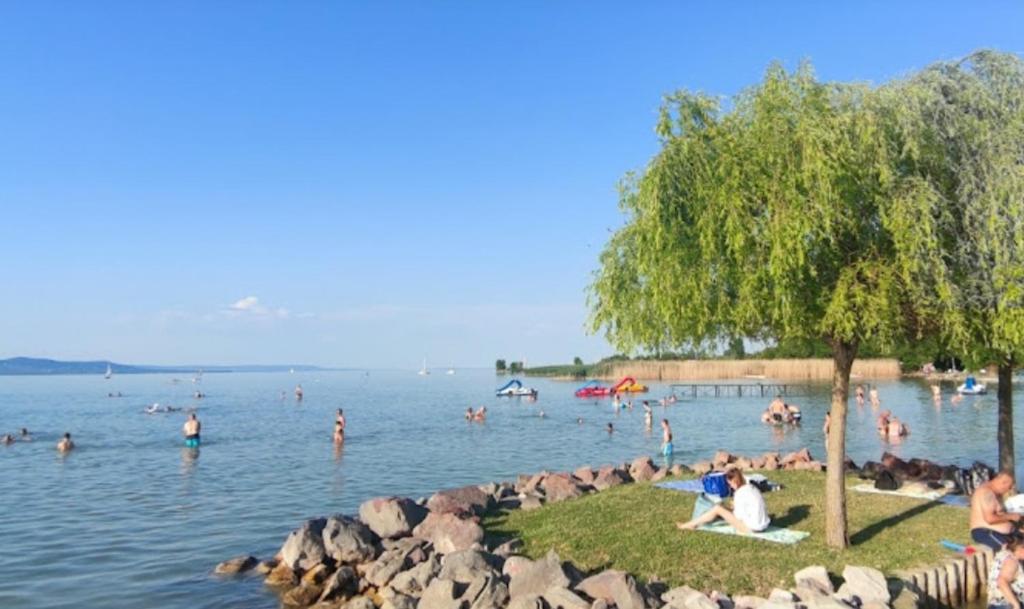 Fotografia z galérie ubytovania Lido Dalma Apartman 1 vo Fonyódi