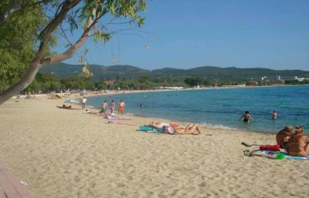Príroda v okolí apartmánu