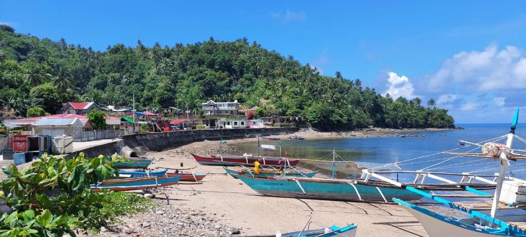 a group of boats on the shore of a beach at Romytt White House in Virac