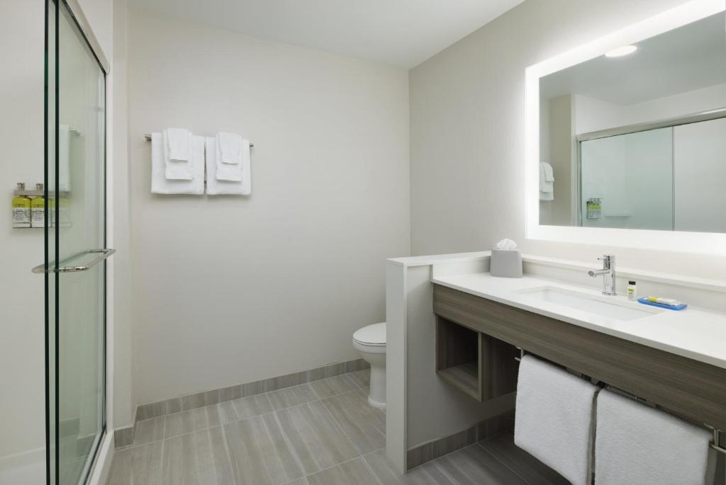 a bathroom with a sink and a toilet and a mirror at Holiday Inn Express & Suites Gulf Breeze - Pensacola Area by IHG in Gulf Breeze