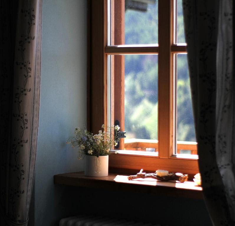 une fenêtre avec une plante en pot sur un rebord de fenêtre dans l'établissement B&B Blumenstube, à Sant’Orsola