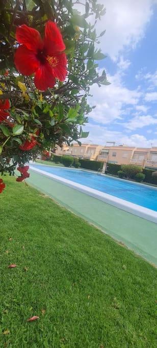 Basen w obiekcie Bungalow avec piscine lub w pobliżu