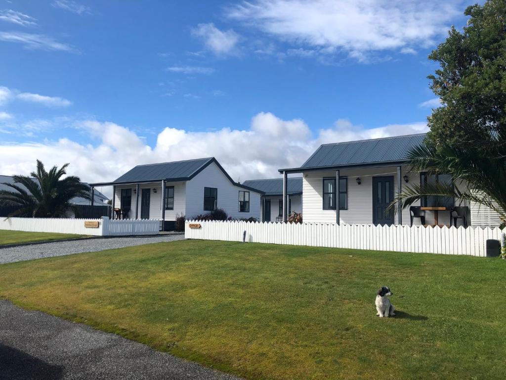 um gato sentado na relva em frente a uma casa em Amberlea Cottages em Hokitika