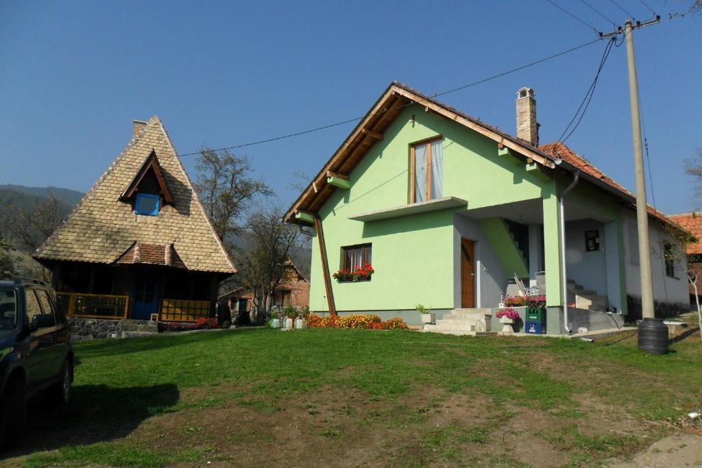 的住宿－Apartman Misailovici 2，一座带茅草屋顶的绿色小房子