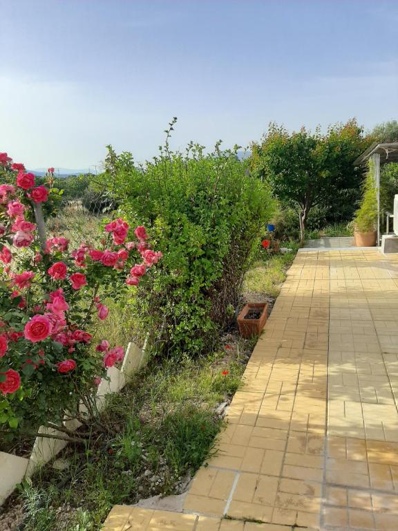 un jardín con rosas rosas y una pasarela de ladrillo en Helen's cozy studio (close to the airport), en Koropíon