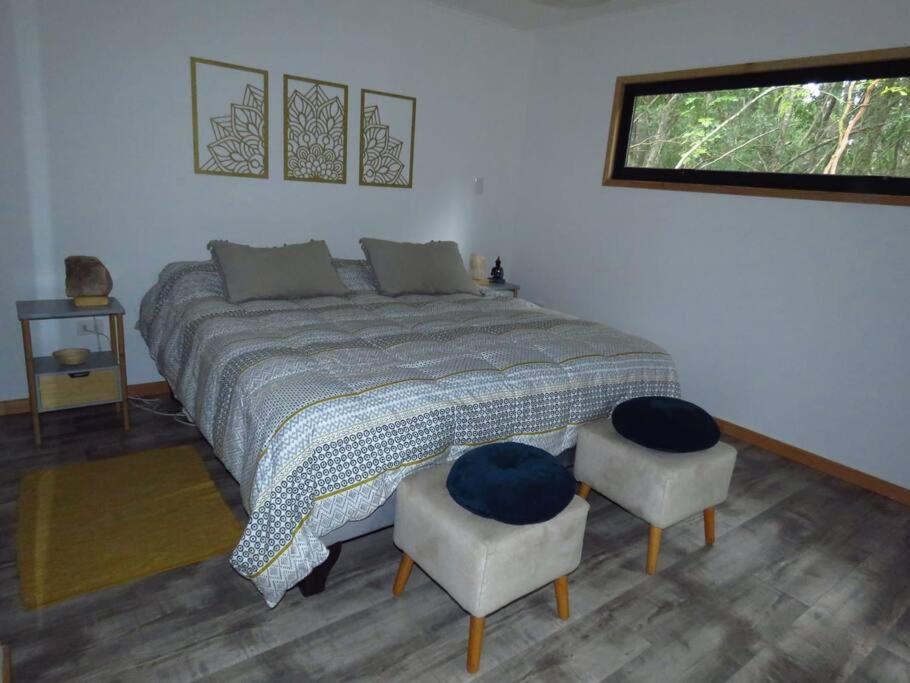 1 dormitorio con 1 cama, 2 sillas y ventana en Cómodo chalet con tinaja rodeado de bosque nativo en Pucón