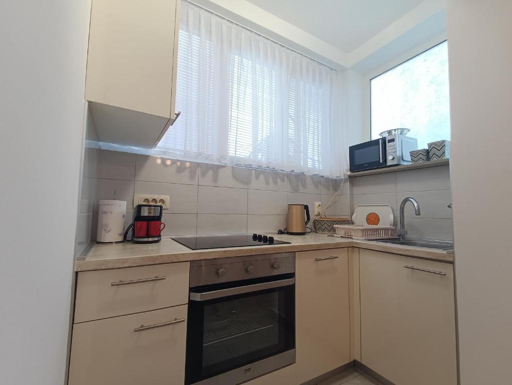 Kuchyňa alebo kuchynka v ubytovaní Apartment Fontana Felicita