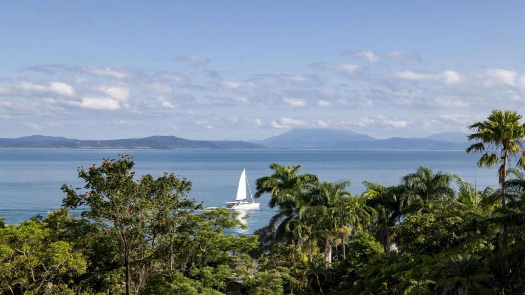 un voilier dans l'eau avec des palmiers dans l'établissement Island Point Villa 5 Port Douglas, à Port Douglas