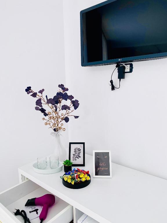 TV a/nebo společenská místnost v ubytování IANIS Rooms