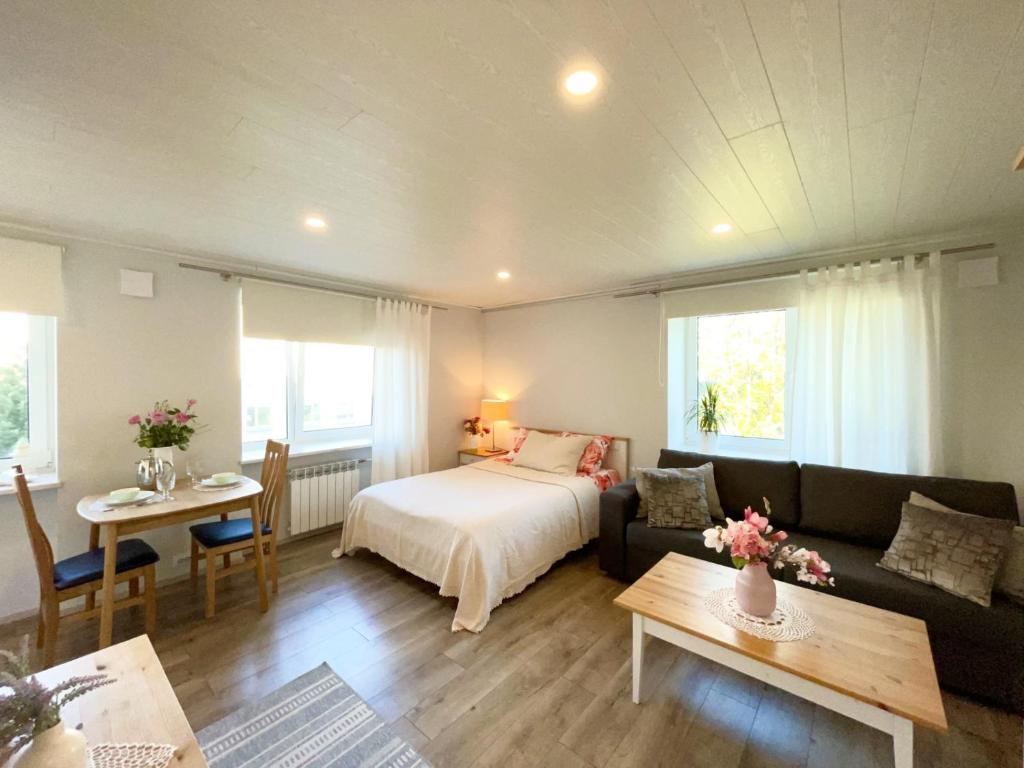 - une chambre avec un lit, un canapé et une table dans l'établissement Haapsalu, Tallinna maantee, à Haapsalu