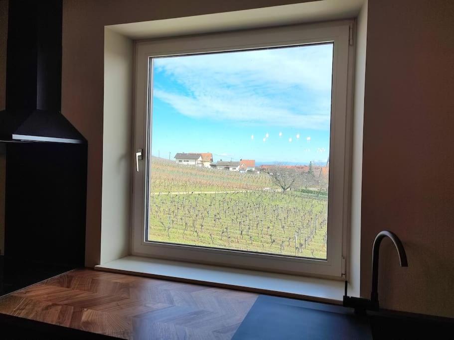 Vue splendide au coeur des vignes – photo 17