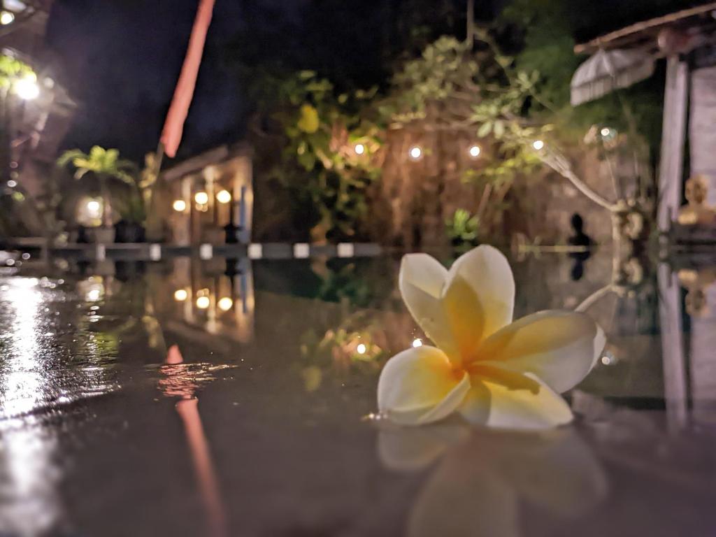 Fotografie z fotogalerie ubytování Astuti Gallery Homestay v destinaci Yogyakarta