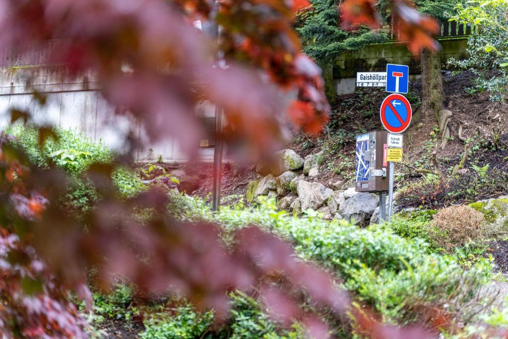 Fotografie z fotogalerie ubytování Ribeiro Cachoeira v destinaci Sasbachwalden
