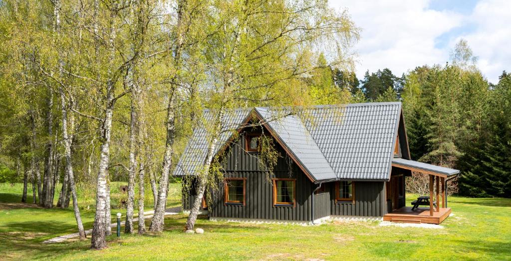 een kleine hut in het bos met bomen bij Brīvdienu māja Vējiņi in Straupe