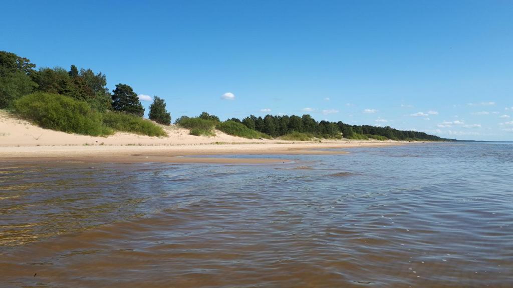 a view of a beach with trees and water at Puhkekeskus SUVI in Karjamaa