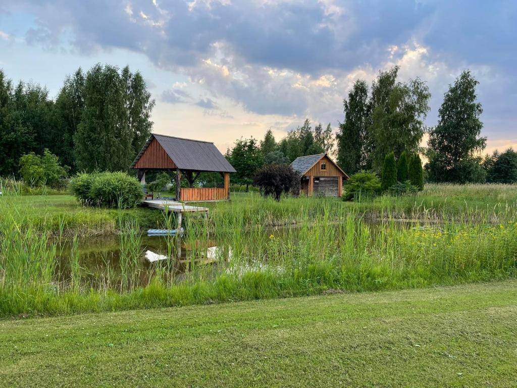 een gebouw in het midden van een veld met een vijver bij Old fisherman's farmhouse and smoke sauna. in Saulepa