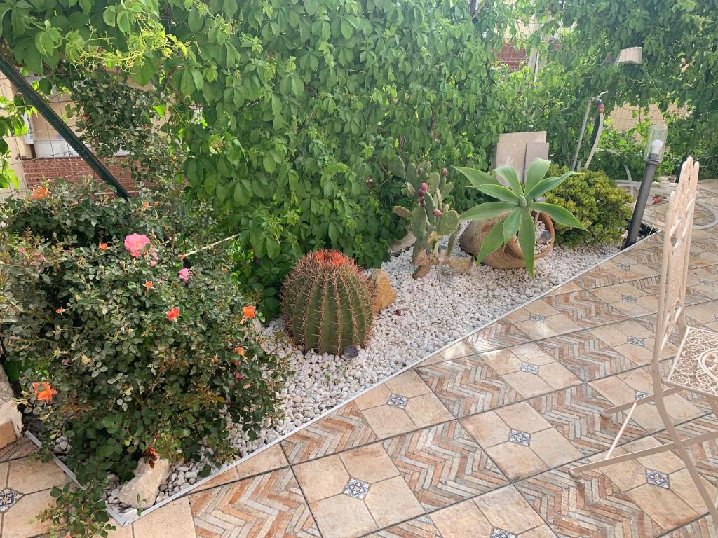 Vonkajšia záhrada v ubytovaní Villa Maresa