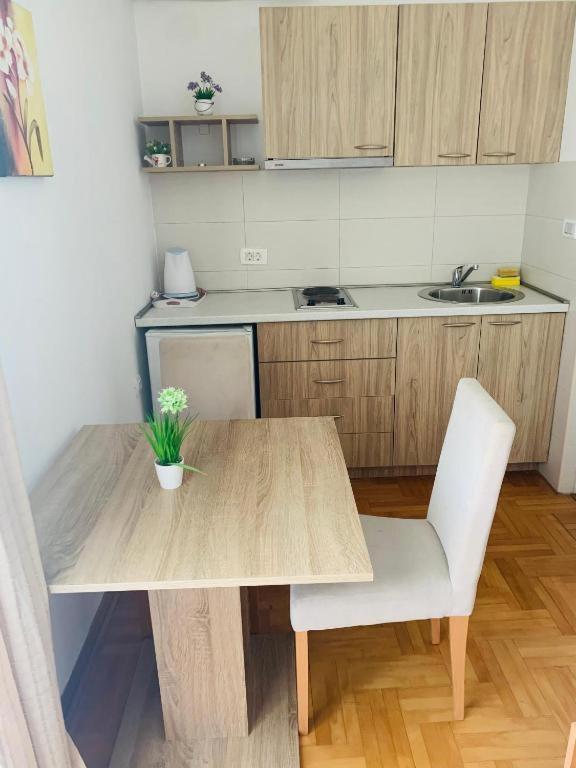 Kuchyň nebo kuchyňský kout v ubytování Apartments & Rooms Vuksanovic Ivana
