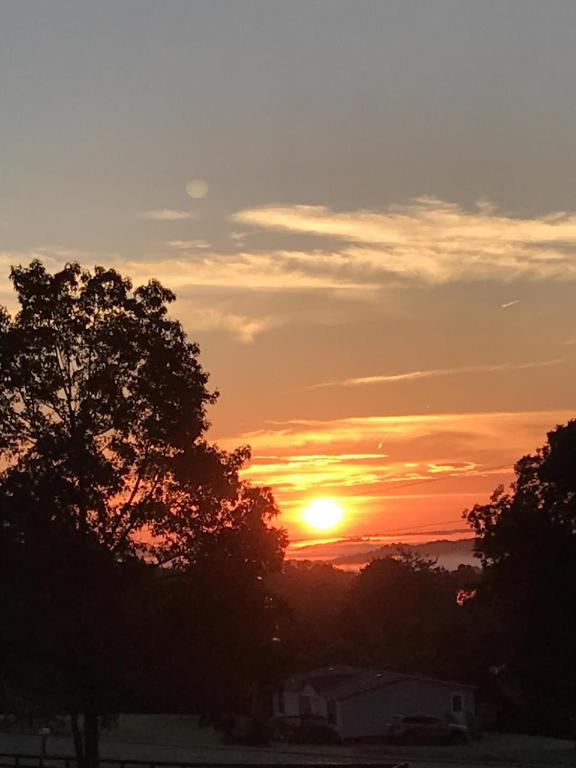 Close To Wineries, Pet Friendly, AC, Tryon (updated prices 2024)