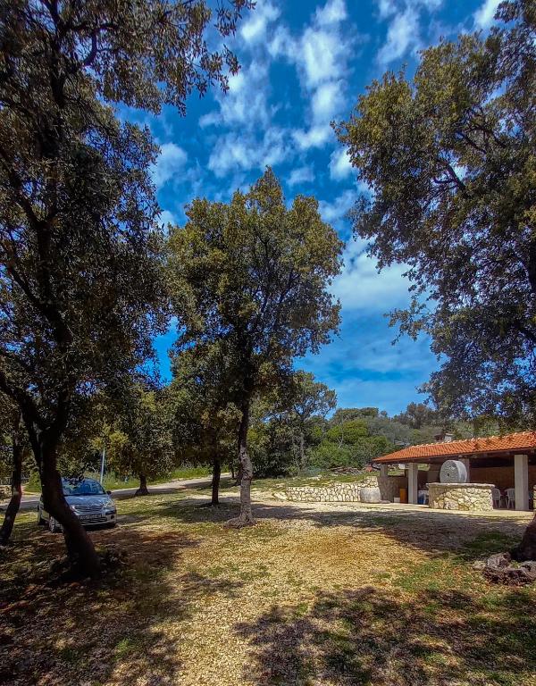 Příroda nedaleko apartmánu