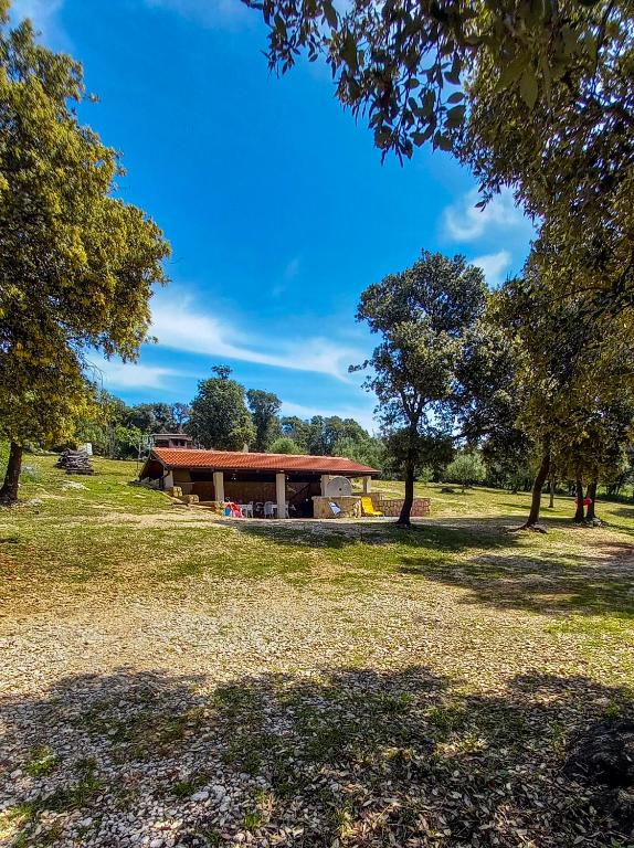 Příroda nedaleko apartmánu