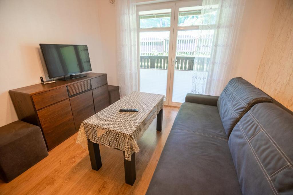 - un salon avec un canapé, une télévision et une table dans l'établissement Apart-Invest Apartament Hajduczek, à Szklarska Poręba