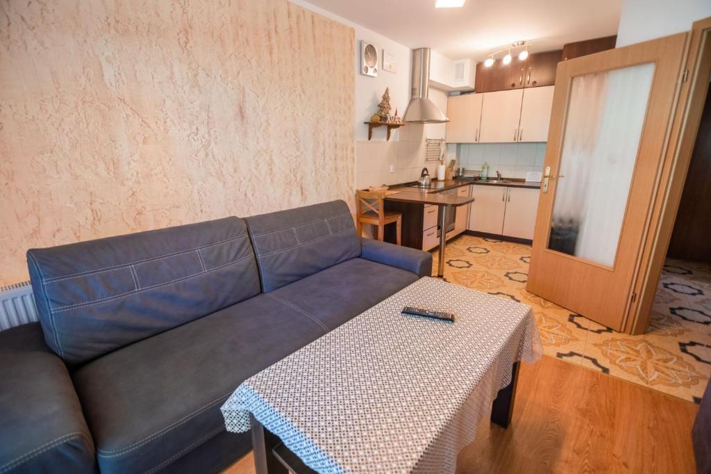 Kuchyňa alebo kuchynka v ubytovaní Apart-Invest Apartament Hajduczek