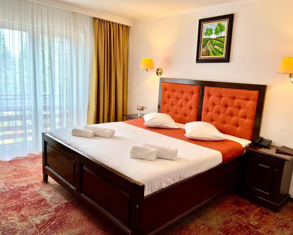 Hotel Piatra Mare - Resim 4