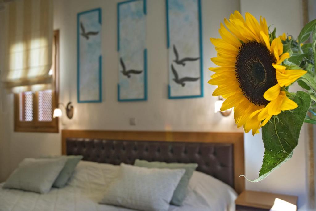 Ionas Boutique Hotel - 16